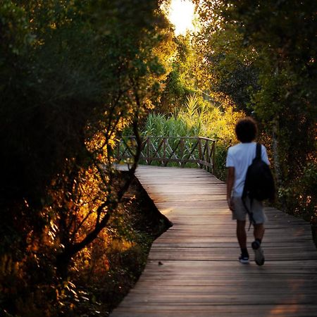 A Saboeira - Turismo Rural Belver  Bagian luar foto