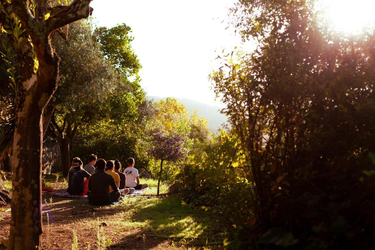 A Saboeira - Turismo Rural Belver  Bagian luar foto