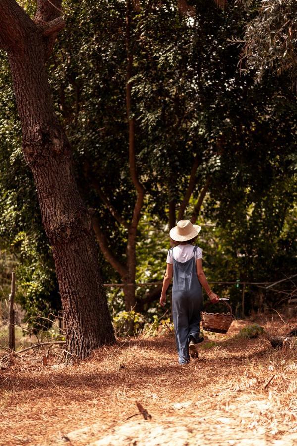 A Saboeira - Turismo Rural Belver  Bagian luar foto