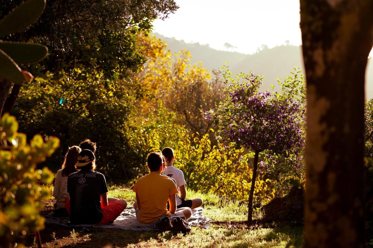 A Saboeira - Turismo Rural Belver  Bagian luar foto